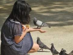 鳩を手にのせてる少女