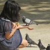 鳩を手にのせてる少女