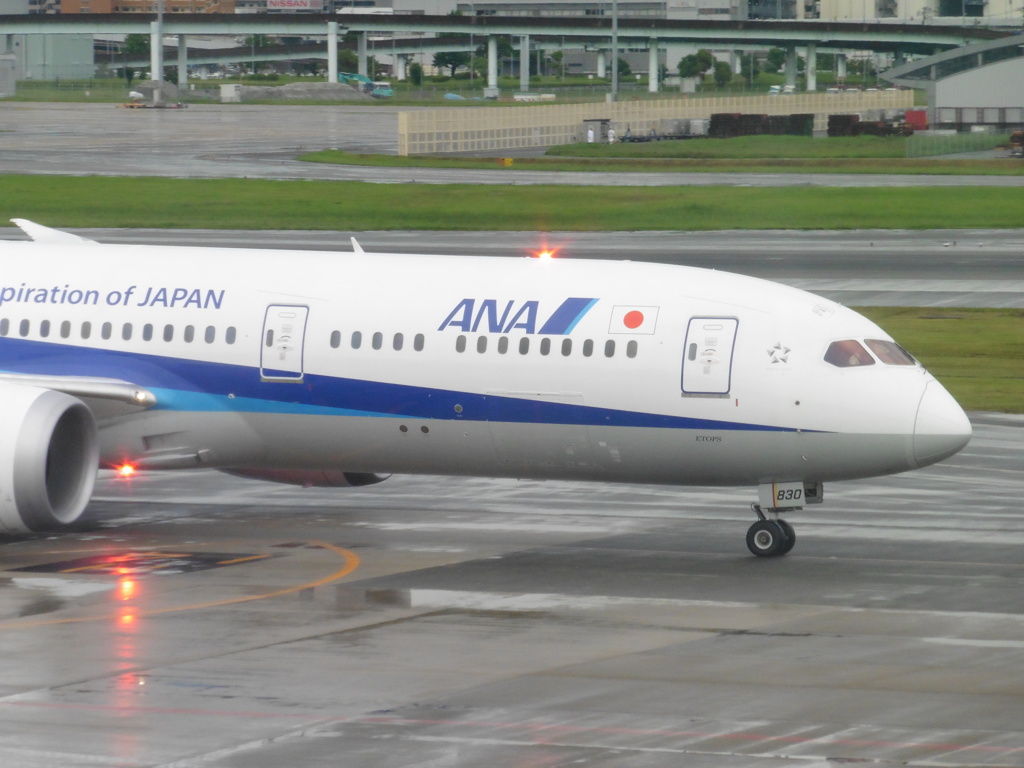 ANA  B787-9と光るライト