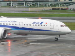 ANA  B787-9と光るライト