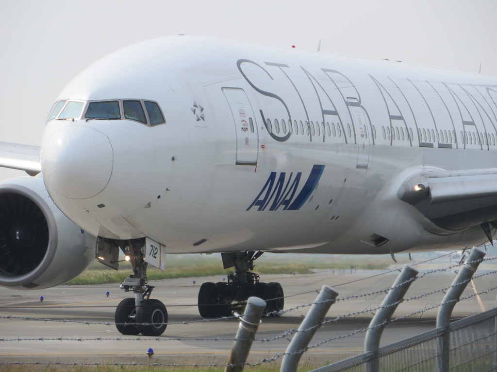 目の前からSTAR ALLIANCE  1