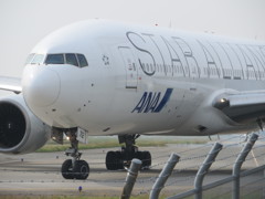 目の前からSTAR ALLIANCE  1