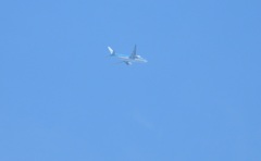 青空とKLM