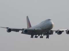 アシアナ　B747飛来　①
