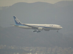 ANA  B777-200  福岡空港