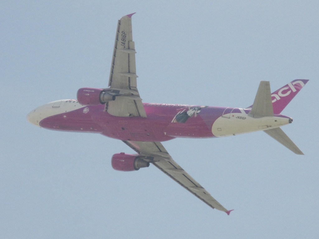 PEACH A320