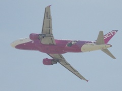 PEACH A320