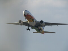 離陸　ANA  JA741A  福岡空港にて