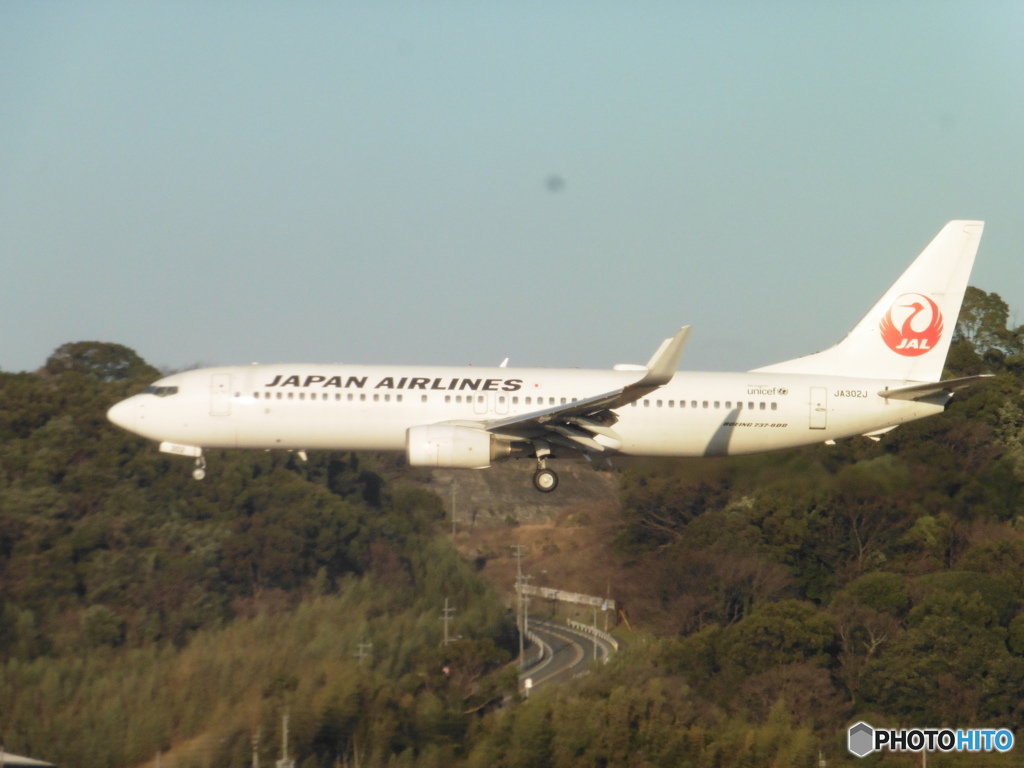 JAL  B738着陸