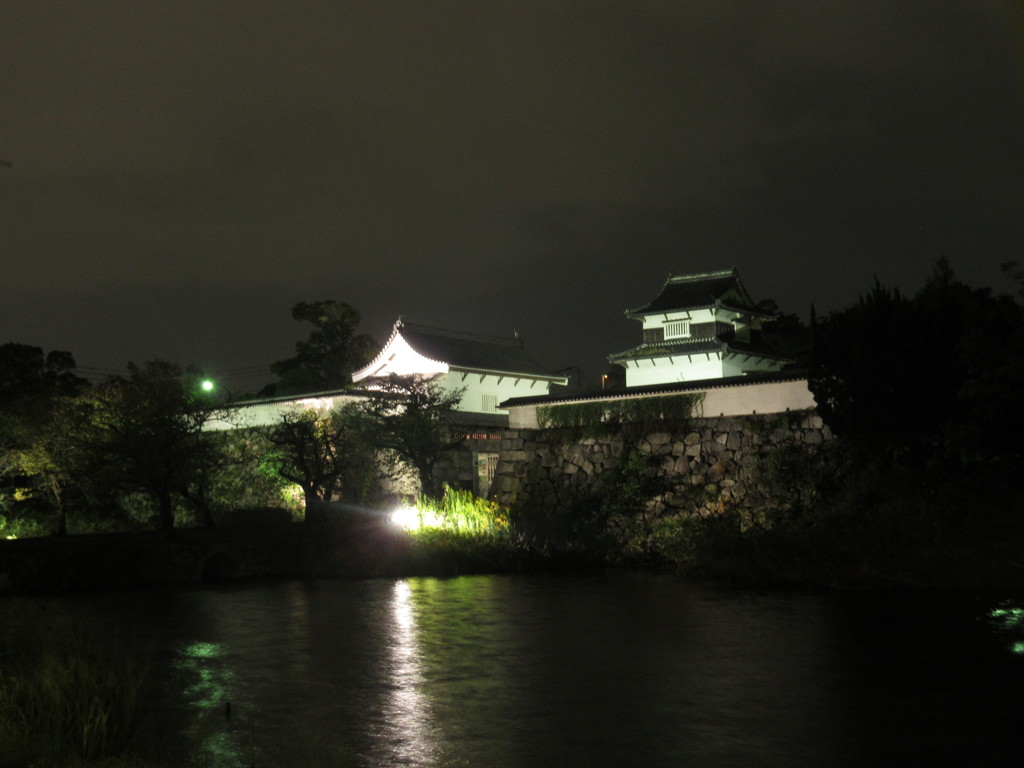 夜の福岡城①