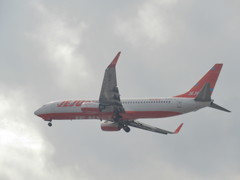 JEJU　AIR　B737