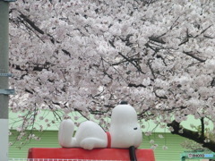 スヌーピーと桜