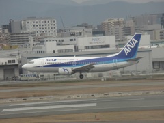 ANA B737　ドルフィン着陸