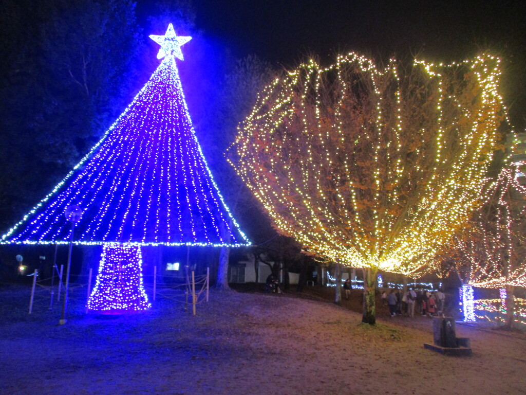 佐賀県鳥栖市中央公園のイルミネーション　㉖