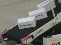 飛行機への荷物搭載②