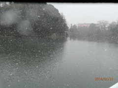 雪の降りしきる池