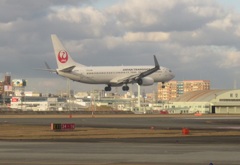 トランスオーシャン　B737着陸①