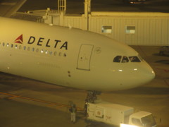DELTA  A330-300到着②