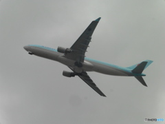 KOREAN　AIR　A330-300離陸