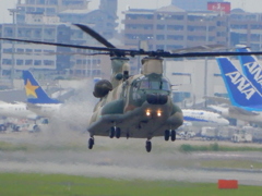 航空自衛隊　CH-47J　57-4491  ①