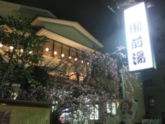 二日市温泉街の桜と御前湯
