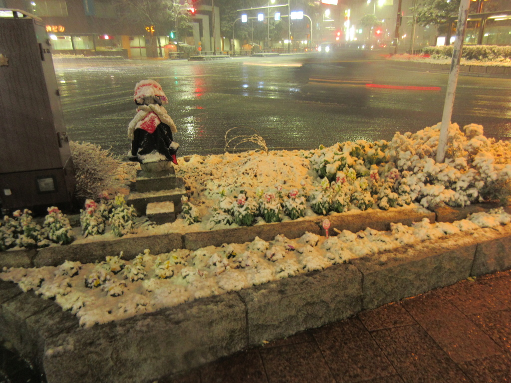 福岡市中央区天神の積雪の様子です②