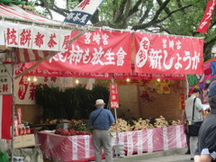 箱崎宮放生会にて①