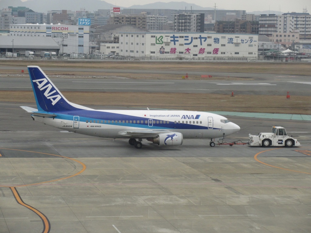 スポットへ誘導されるドルフィン