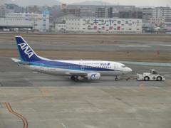 スポットへ誘導されるドルフィン