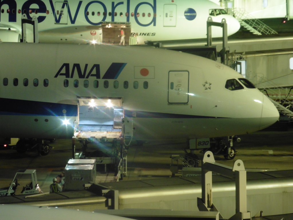 夜の貨物の搭載作業