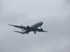 ANA　B767-300到着
