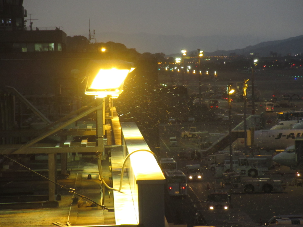 夜の空港の照明