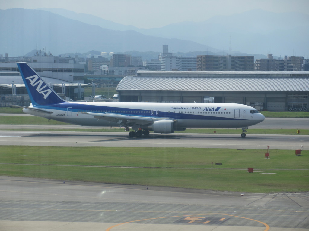 ANA B767-300 元モヒカンジェット