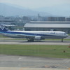 ANA B767-300 元モヒカンジェット