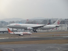 キャセイドラゴン　A330