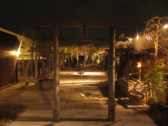 夜の博多シティ展望台⑦