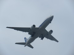 ANA B777-200