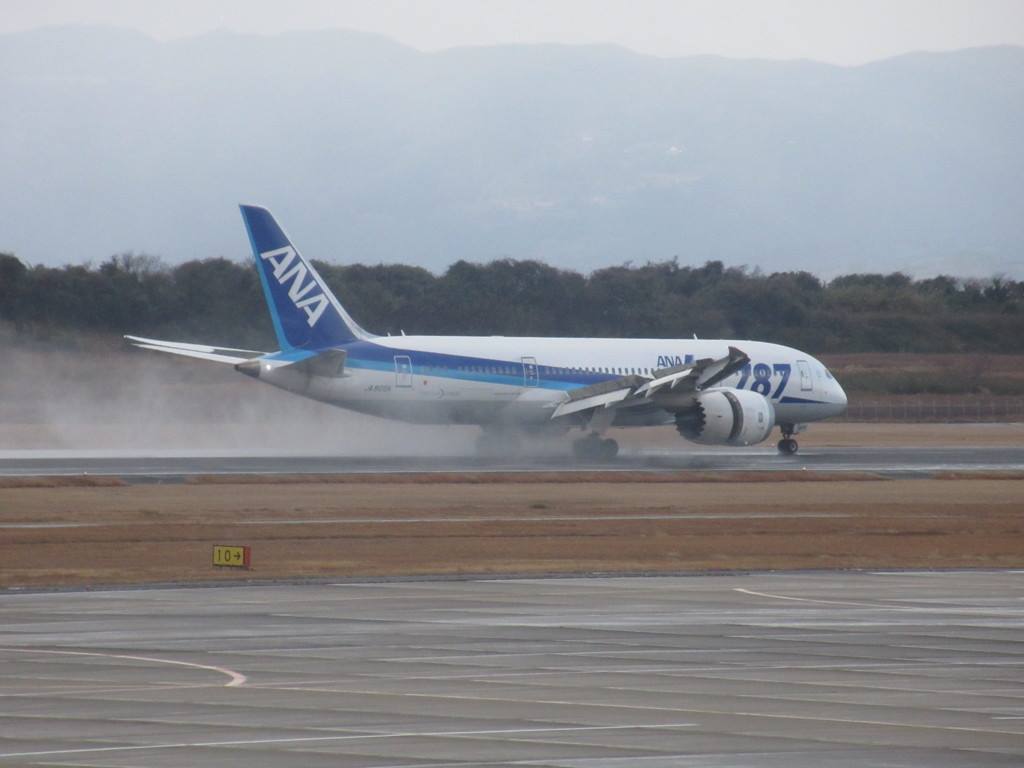 長崎空港に着陸するANA　B787②