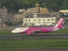 ＰＥＡＣＨ到着