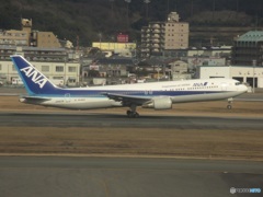 ANA　B767