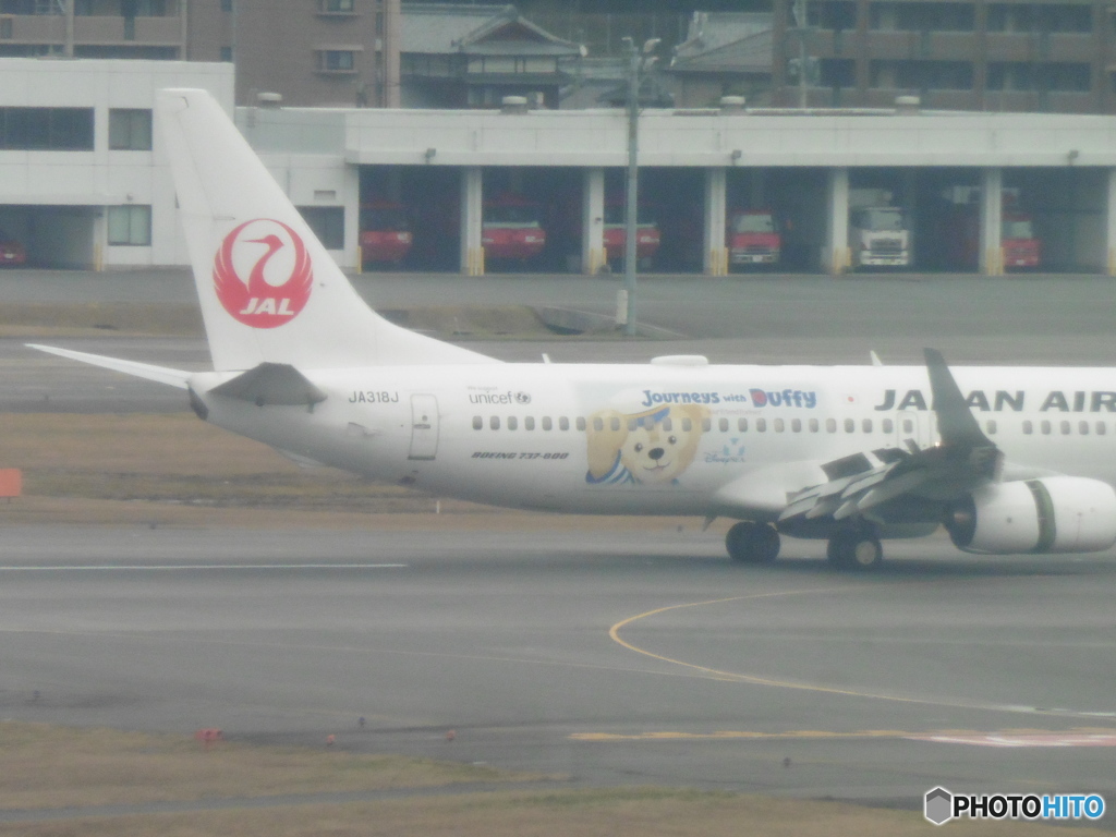 JAL　ダッフィーの着陸