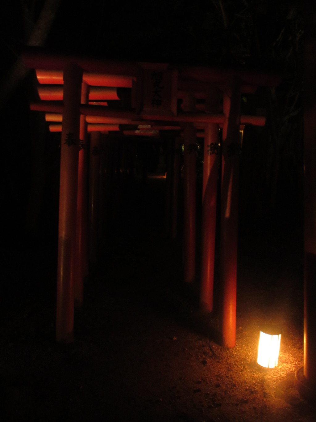 神社の紅葉とイルミネーション④