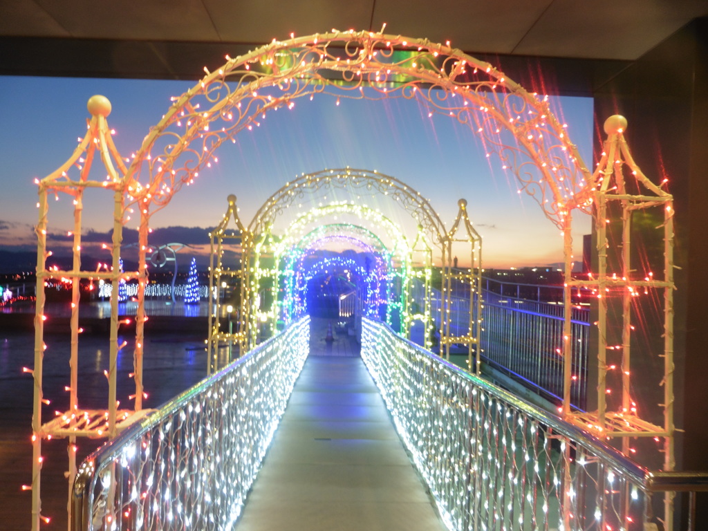 関空ナイトビュー④