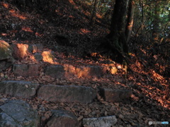 山道に差し込む赤い夕日①