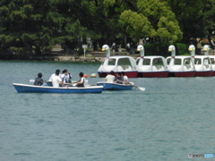 日曜の大濠公園②