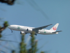 サークリングアプローチ⑭