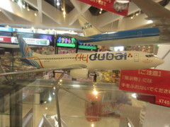 模型飛行機①