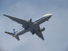 ANA　B777-200