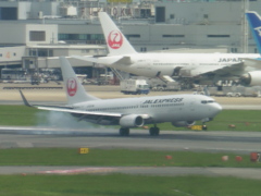 JAL  B737-800着陸