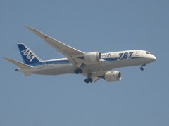 ANA  787-8 JA817A